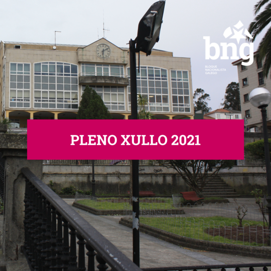 Pleno xullo 2021