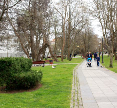 _MG_1899-parque