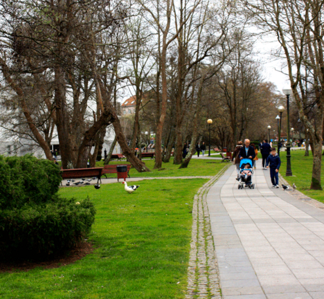 paseo-arteixo