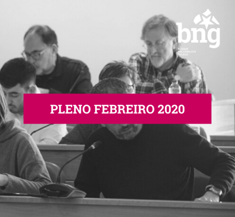 Pleno municipal de febreiro