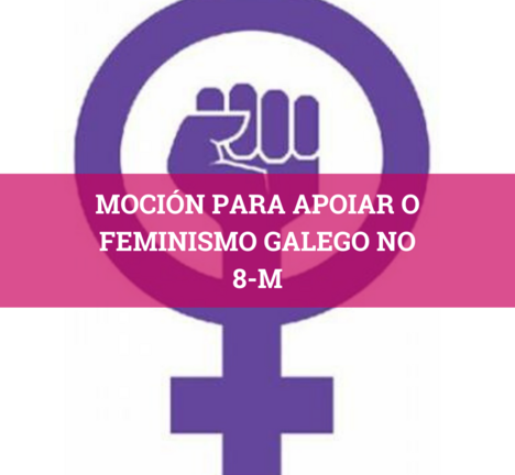 O BNG levou a pleno unha moci&oacute;n relativa ao 8-M