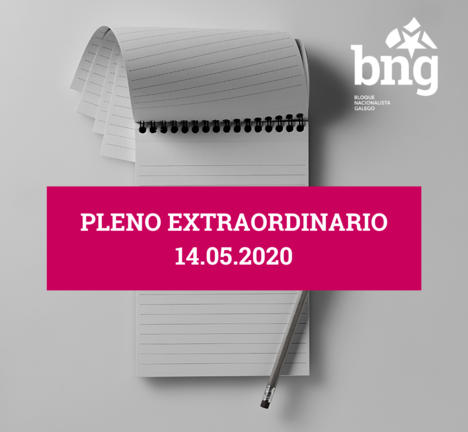 Pleno extraordinario maio