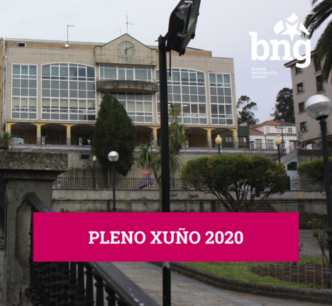 Pleno xu&ntilde;o 2020 en Arteixo