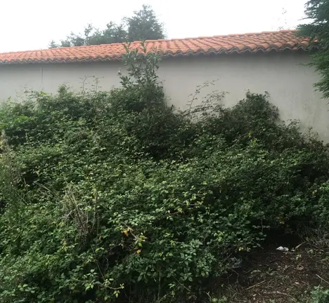 A vexetaci&oacute;n invade unha das instalaci&oacute;ns, que est&aacute;n pechadas e abandonadas.