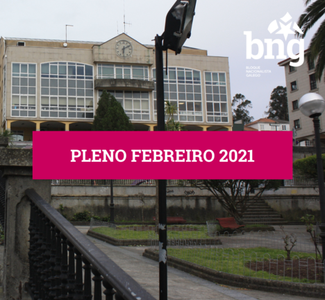 Pleno febreiro 2021
