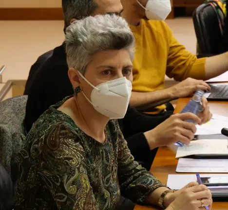 A deputada do BNG, Mercedes Queixas, pregunta sobre o proxecto do tendido el&eacute;ctrico que atravesa a zona sur do concello de Arteixo.
