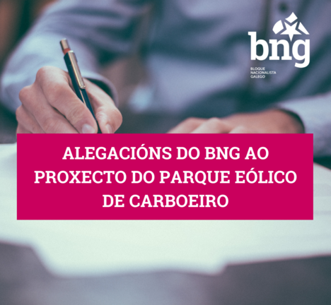Alegaci&oacute;ns ao parque de Carboeiro