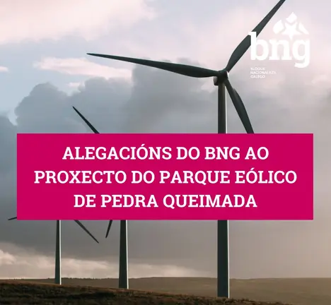 Alegaci&oacute;ns ao proxecto de Pedra Queimada