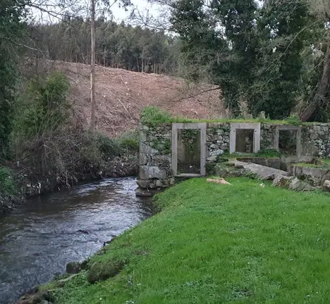 paseo Ra&ntilde;al