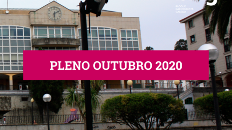 Aprobadas por unanimidade no pleno de Arteixo as moci&oacute;ns sobre mobilidade e sanidade do BNG