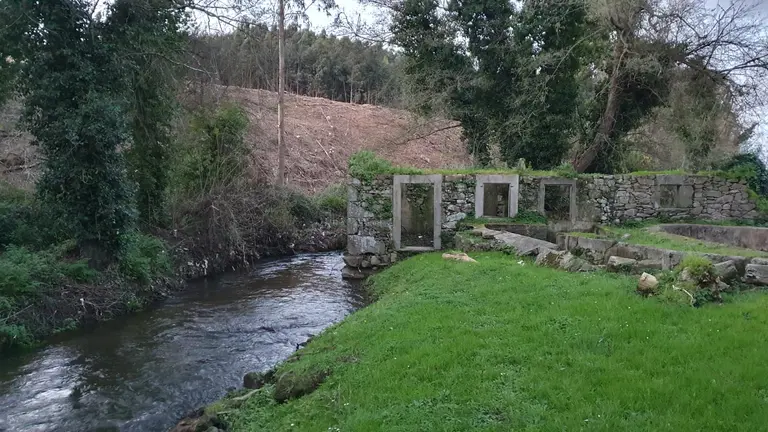 paseo Ra&ntilde;al